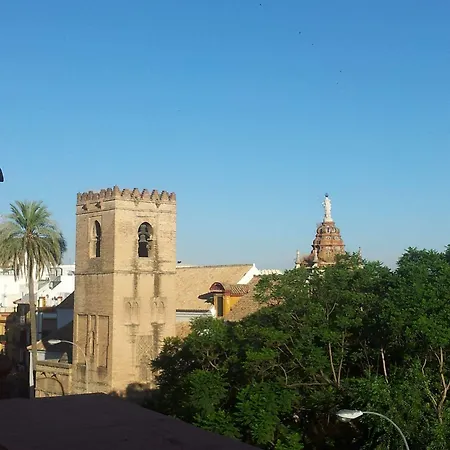 Baco Siviglia
